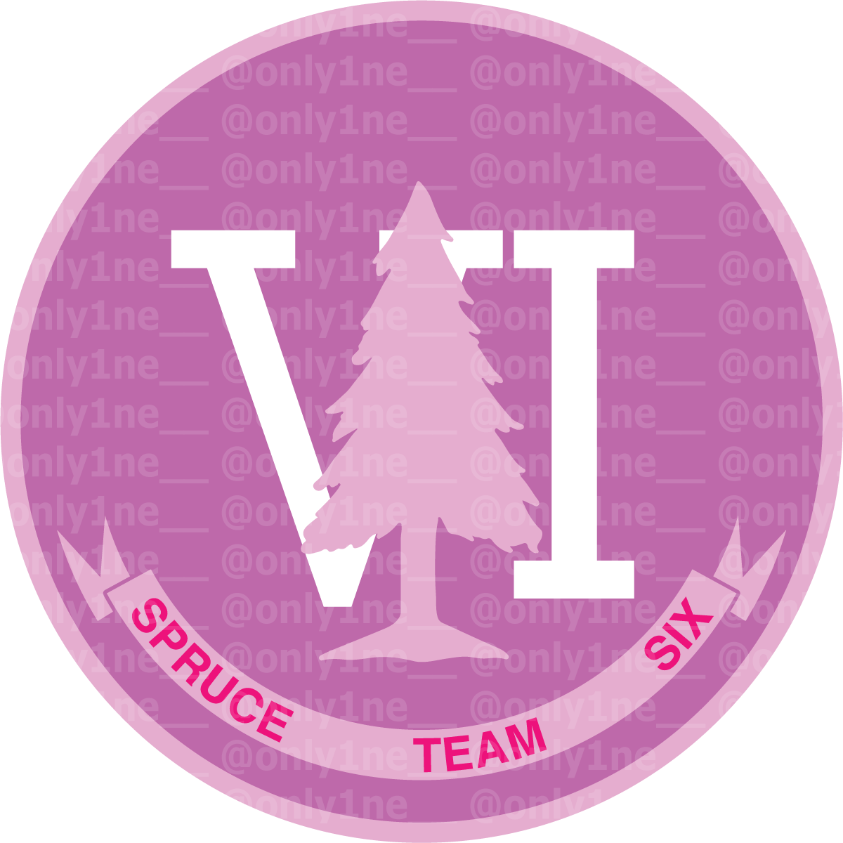 Spruce Team Six Patches